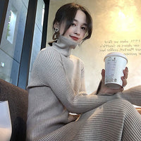 Knitted Thick Turtleneck Dress